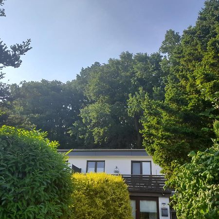 Apartment Am Waldrand 1 Person ,Gemuetlich, Nichtraucher Itzehoe Eksteriør bilde
