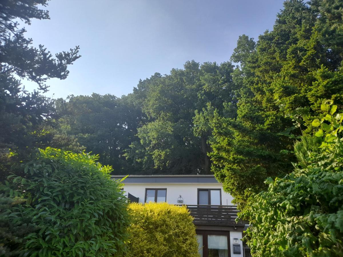 Apartment Am Waldrand 1 Person ,Gemuetlich, Nichtraucher Itzehoe Eksteriør bilde